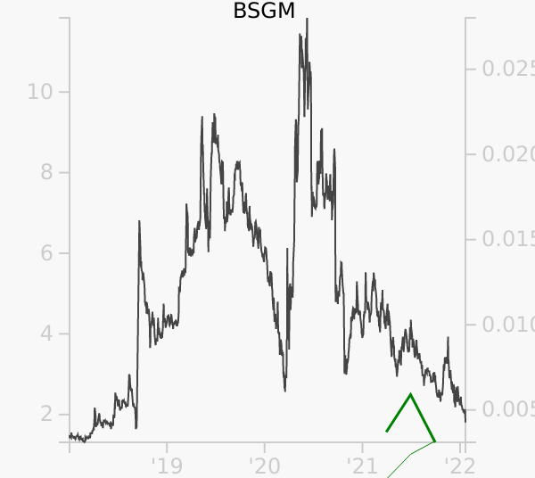 BSGM stock chart compared to revenue